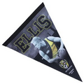 Team Flag/ Pennant (45cmx20cm)